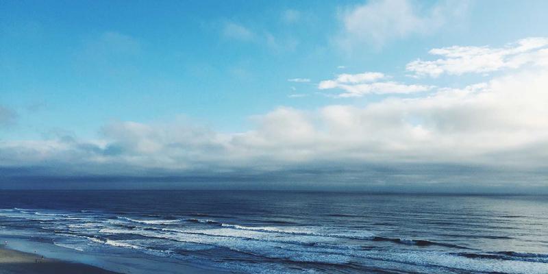 从法律知识到学术创新：北京大学法学博士生培养模式深度解析