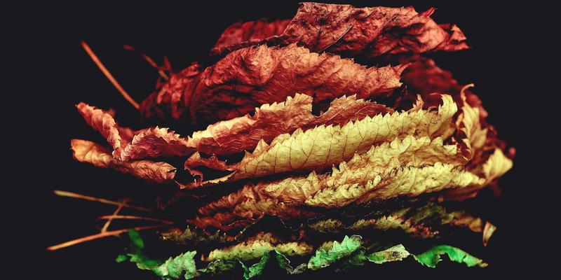 北京大学法学考研历年真题解析：解锁法律学习与法学教育的核心密码