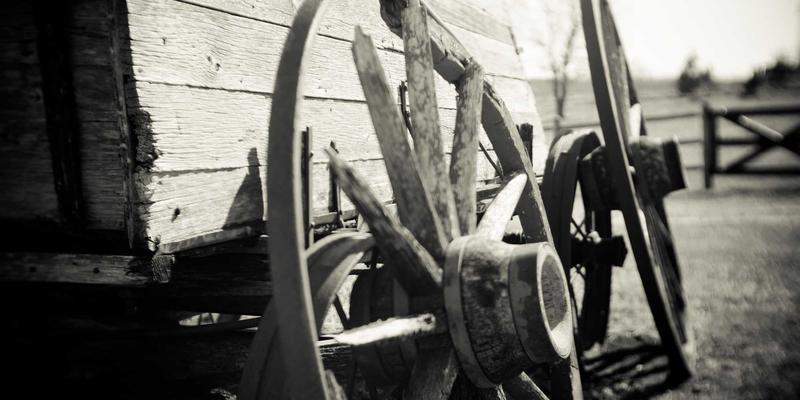 北京大学法学院法律硕士报考条件与高效备考攻略：迈向卓越法学教育的第一步