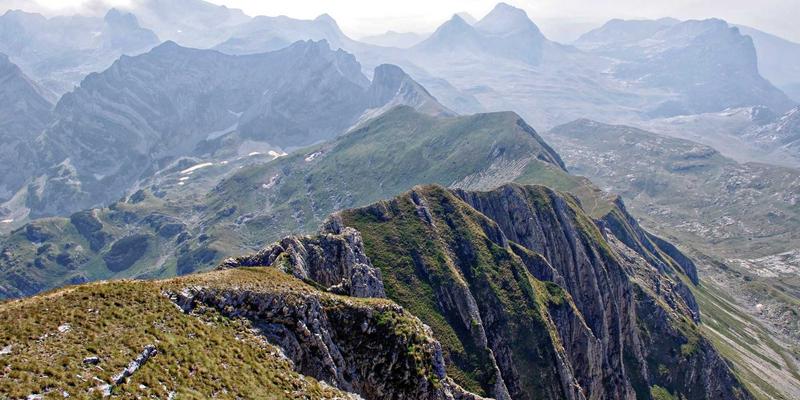 北京大学法律与经济学交叉研究：如何提升法律学习效率与咨询价值