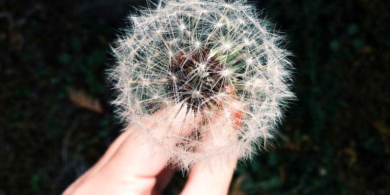 北京大学法律人工智能实验室：计算法学与司法裁判的交叉前沿