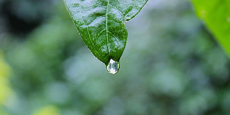 北大法学院金融法研究中心：资本市场法律监管与金融创新的前沿解读