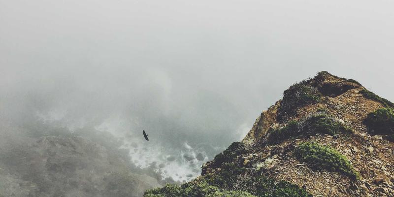 北大法律人创业与法律科技：法学院如何重塑法学教育，培养跨界创新思维