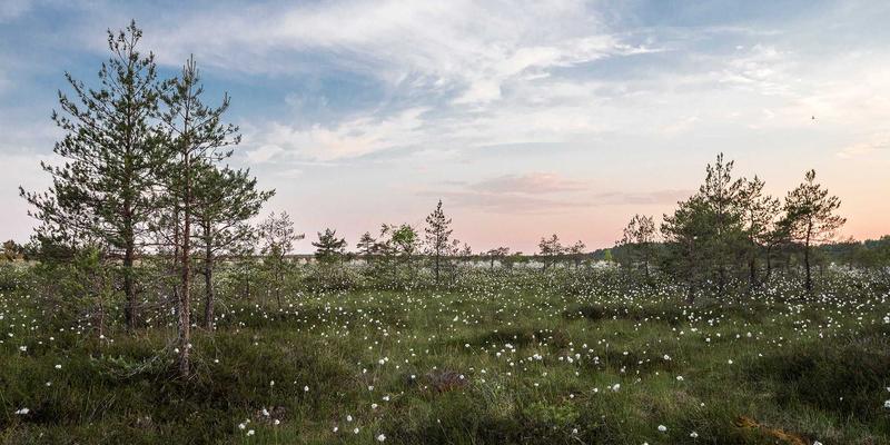 北大法律前沿探索：人工智能伦理、数据治理与平台责任的法律咨询与知识