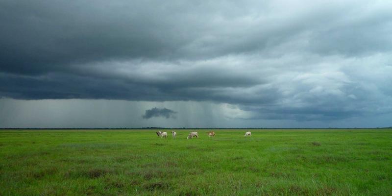 北大法律如何引领法学教育？环境与资源保护法学科服务生态文明建设