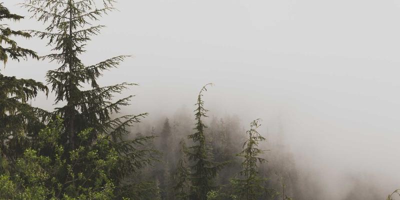 北大法律课程体系解析：如何构建卓越的法律知识与咨询能力